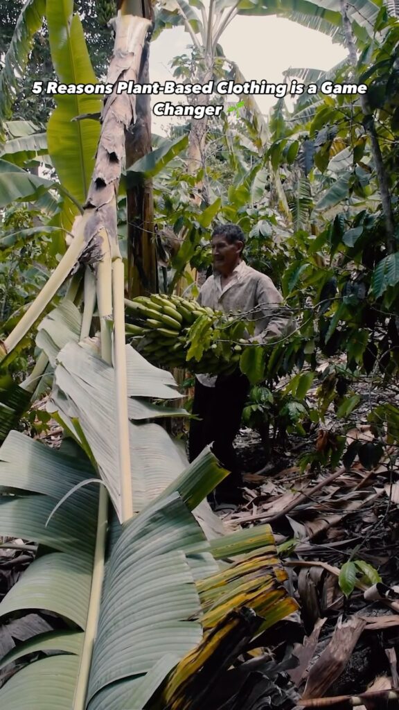 Transforming plant waste