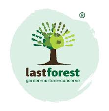 last forest